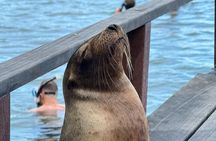 5 Days Tour to Explore Santa Cruz ,Isabela and Santa Fe Galapagos