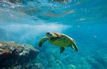 Lana'i Coast Snorkel and Sail