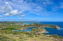  Island Flava Discovery Tour