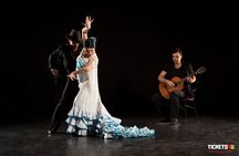 Seville Flamenco EBike Tour and Flamenco Show