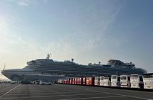 For Busan Cruise Guest highlight Day tour