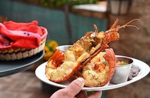 Paragliding Rosarito & Port new lobster/portals/charm