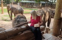 Essential Sri Lanka Tour (7 days) With Cultural Experience