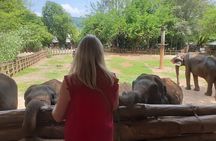Essential Sri Lanka Tour (7 days) With Cultural Experience