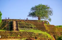 Sigiriya Hike & Minneriya Safari Private Full Day Tour