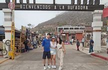 The Bufadora Tour and Horseback Riding