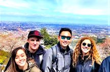 Experience Tokyoites Vacation: Hike, Sightsee, Onsen & Local Food