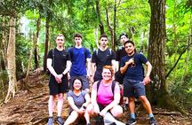 Live Like a Local: Mt. Takao Hike, Shrine Tour, Onsen & Feast