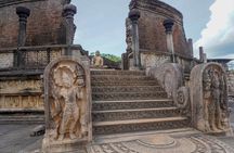 Visiting the Historical Polonnaruwa Ruins and Minneriya Safari 