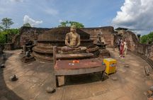 Visiting the Historical Polonnaruwa Ruins and Minneriya Safari 