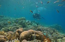 Boat Diving at Tribe Gate Andaman