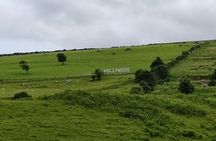 Wicklow, Glendalough and Sheep Dog Demonstration Private Tour 