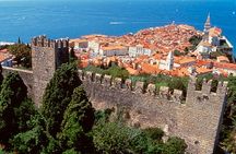 Piran walking tour & Wine Treasures in the Istrian Hinterlands