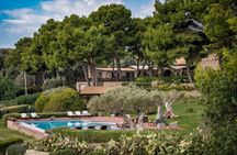 Guided tasting of Sicilian wines in Montesole