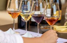 Guided tasting of Sicilian wines in Montesole