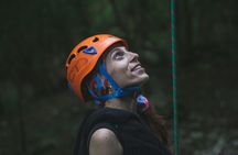 Tulum Jungle Combo: Turtles, ATV, Ziplines & Cenote Full-Day
