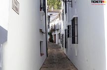 Day in Pueblos Blancos and Ronda from Seville