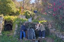 Uyuni Express 3 days from Puno Copacabana and Isla del Sol