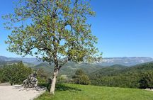 Vipava Valley Scenic Private Tour & Wine Tasting from Ljubljana