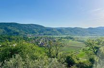 Vipava Valley Scenic Private Tour & Wine Tasting from Ljubljana