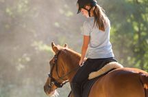 Tulum Jungle Horseback Ride + ATV + Ziplines + Cenote Combo Tour