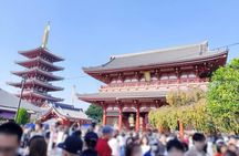 Explore Tokyo Highlights Layover Tour