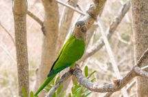 National Aviary, Baru Island