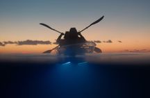 Clear Kayak Glow Night Tour