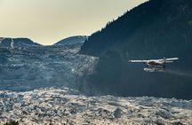 Taku Lodge Feast & 5-Glacier Seaplane Discovery