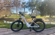 Bike Adventure from Valencia to Albufera Wetlands and Beaches