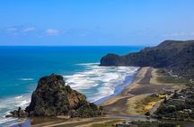 Private Auckland Sightseeing - Full Day/Half Day Hidden Gems Tour