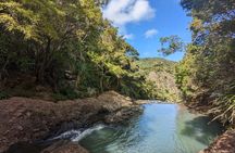 Private Auckland Sightseeing - Full Day/Half Day Hidden Gems Tour