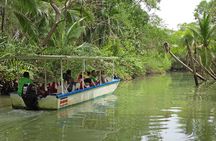 Damas Island Mangrove Boat Adventure