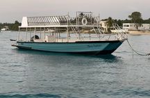 Glass Bottom Boat Snorkeling With Turtles & Shipwreck In Barbados