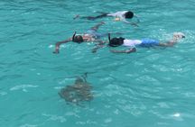 Glass Bottom Boat Snorkeling With Turtles & Shipwreck In Barbados