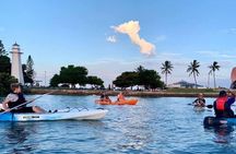 Raby Bay Wildlife Kayak Tour