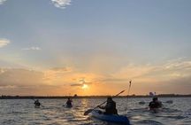 Raby Bay Wildlife Kayak Tour