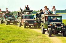 Minneriya National Park half day Private Safari with Expert Guide