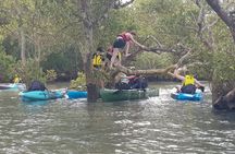 Guided Kayak Adventure Tour 3hrs options please check the website