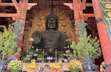 Osaka / Kyoto: Todai-ji, Nara Park, Fushimi Inari and Byodo-in