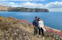 Half Day Luxury Guided Crater Rim Walk