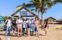Kivalo soa honko day tour in Morondava
