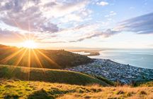 Private Half-Day Godley Head Coastal Hike from Christchurch