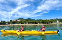 Half Day Kayak Turtle Tour