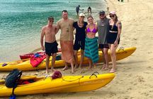 Half Day Kayak Turtle Tour
