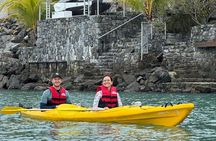 Half Day Kayak Turtle Tour