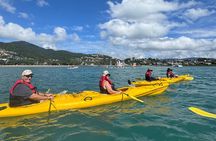 Half Day Kayak Turtle Tour