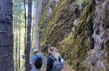  Cuajimoloyas Private Hiking Bushwalking Oaxaca Adventure