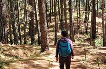  Cuajimoloyas Private Hiking Bushwalking Oaxaca Adventure
