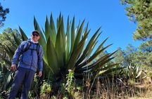  Cuajimoloyas Private Hiking Bushwalking Oaxaca Adventure